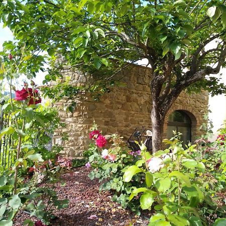 Da Vinci Sweet Home Castiglion Fibocchi Εξωτερικό φωτογραφία